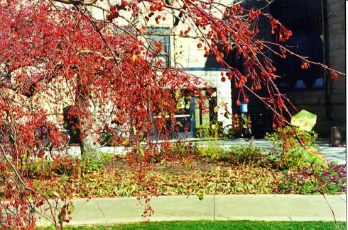 bpeters.jpg (78338 bytes)