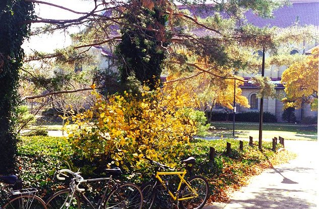 sketter.jpg (137835 bytes)